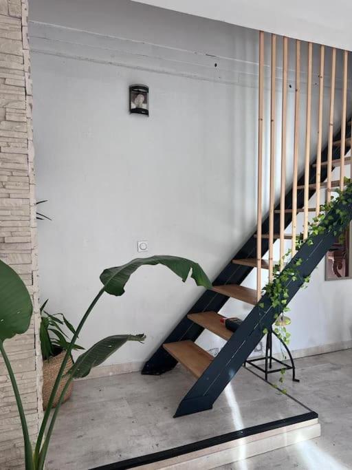 Maison Type 4 Et Jardin Spacieux ซิญส์ ภายนอก รูปภาพ
