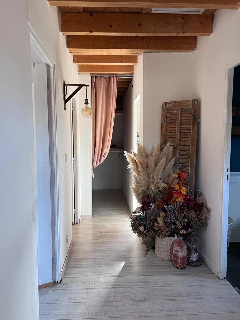 Maison Type 4 Et Jardin Spacieux ซิญส์ ภายนอก รูปภาพ